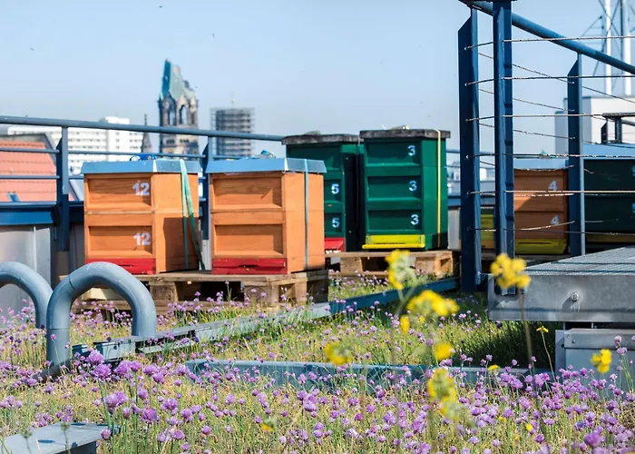 库尔菲尔斯滕斯堪柏林酒店 4*